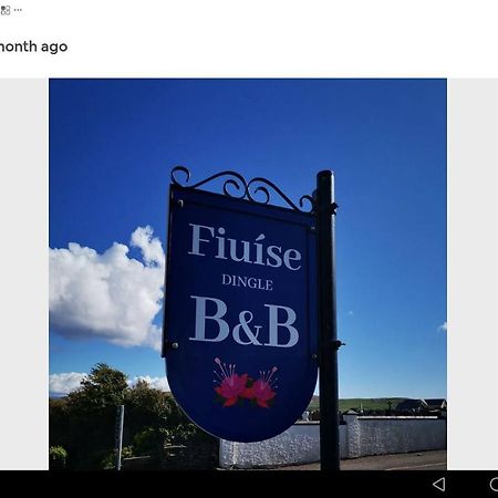 Fiuise B&B Dingle Zewnętrze zdjęcie