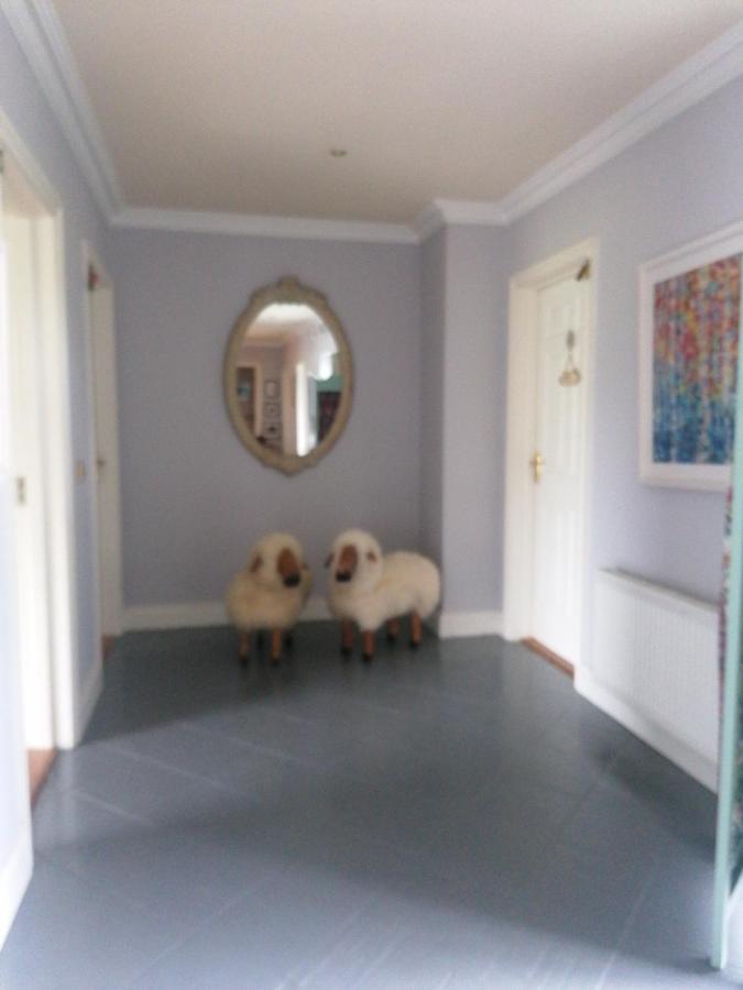 Fiuise B&B Dingle Zewnętrze zdjęcie