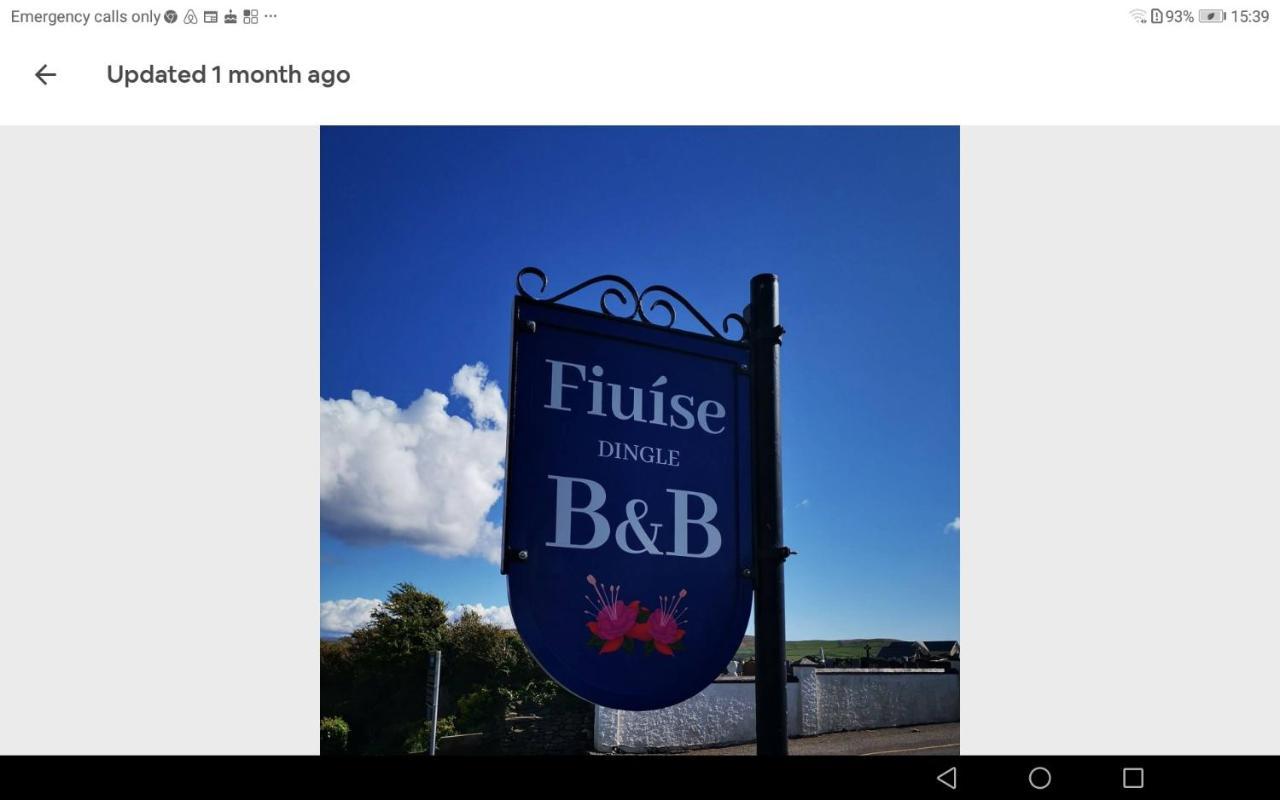 Fiuise B&B Dingle Zewnętrze zdjęcie