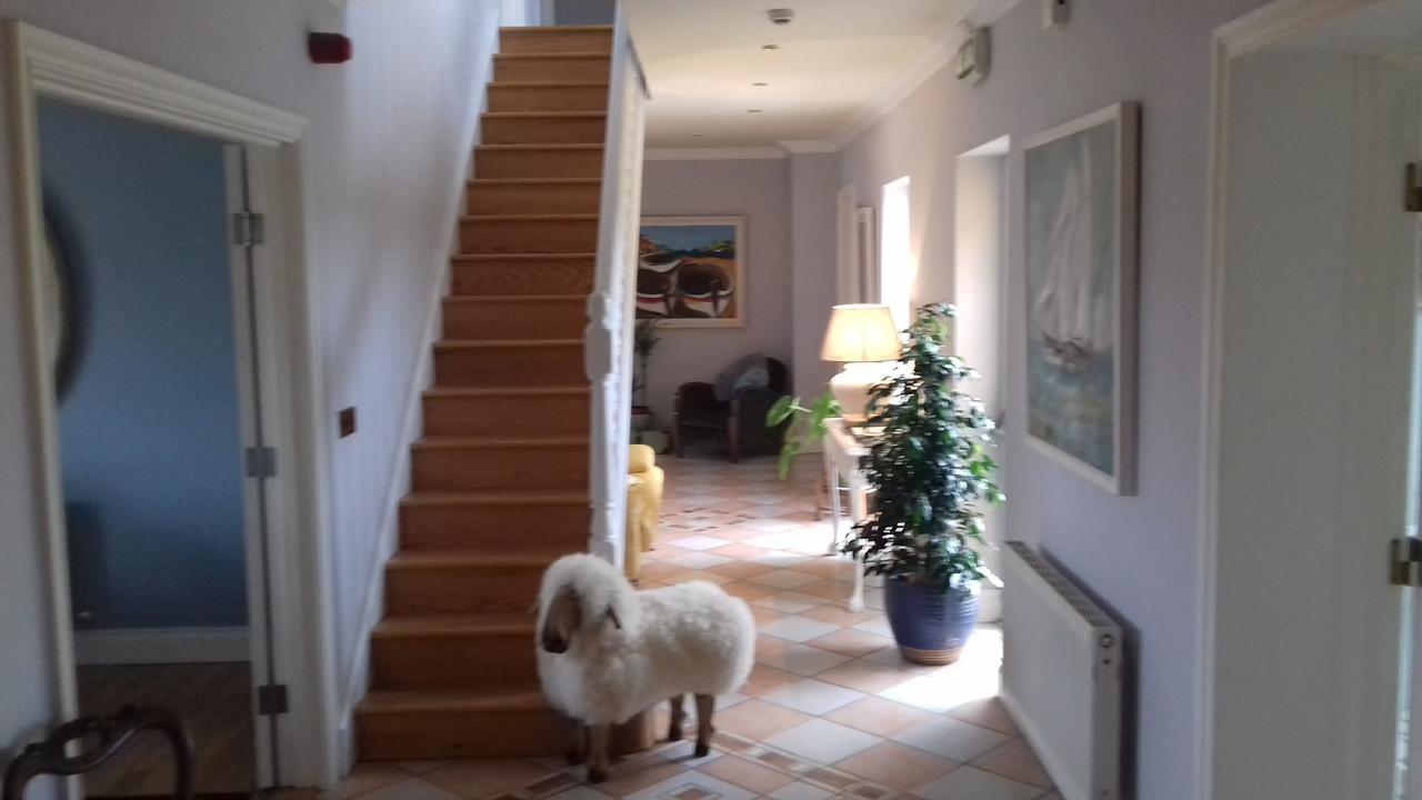 Fiuise B&B Dingle Zewnętrze zdjęcie